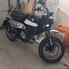 Honda MONKEY 2022