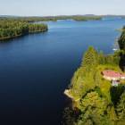 Paljakantie 185, Kuopio, Kortejoki