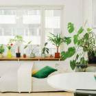 27 m&sup2; Castr&eacute;ninkatu 8, 00530 Helsinki Kerrostalo Yksi&ouml; myynniss&auml; - Oikotie 23507326