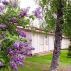 Vuokrataan Rivitalo Yksi&ouml; - Kuopio Karttula Kissakuusentie 46a