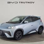 BYD Dolphin Surf