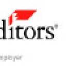 District Sales Executive