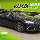 Lexus ES ES 300h Luxury Line (Euro 6d)