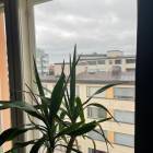 Vuokrataan Kerrostalo Yksi&ouml; - Helsinki Kallio Kolmas linja 32