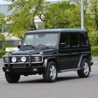 Mercedes-Benz G400CDI