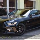 Ford Mustang, 5.0V8 ČR