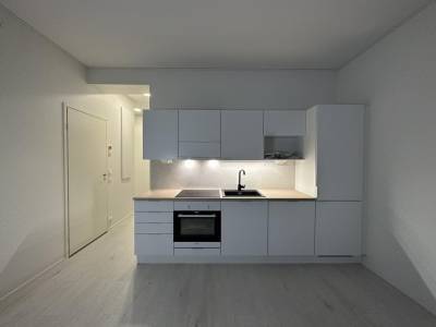 Vuokrataan Rivitalo 3 huonetta - Vantaa Koivuhaka Kuriiritie 26