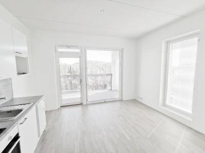 Vuokrataan Kerrostalo Yksi&ouml; - Tampere Multisilta Perkkoonkatu 1