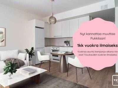Vuokrataan Kerrostalo Kaksio - Turku Pukkila Samottitasku 2 F
