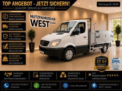 Mercedes-Benz Sprinter 316 Benzin/Ga&szlig;*Kipper+Kran*Garantie*