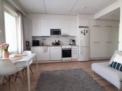 Vuokrataan Kerrostalo Yksi&ouml; - Oulu Hein&auml;p&auml;&auml; Aleksanterinkatu 71 A 32