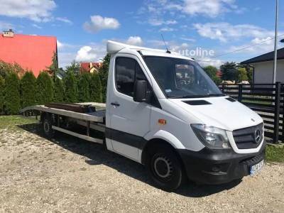 Mercedes-Benz Sprinter 313