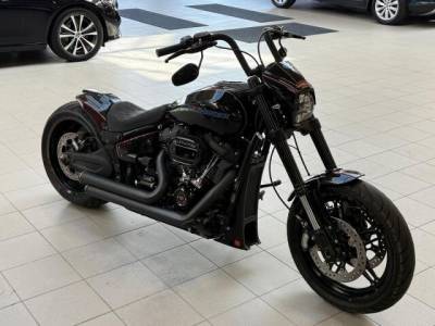 Harley-davidson SOFTAIL 2019